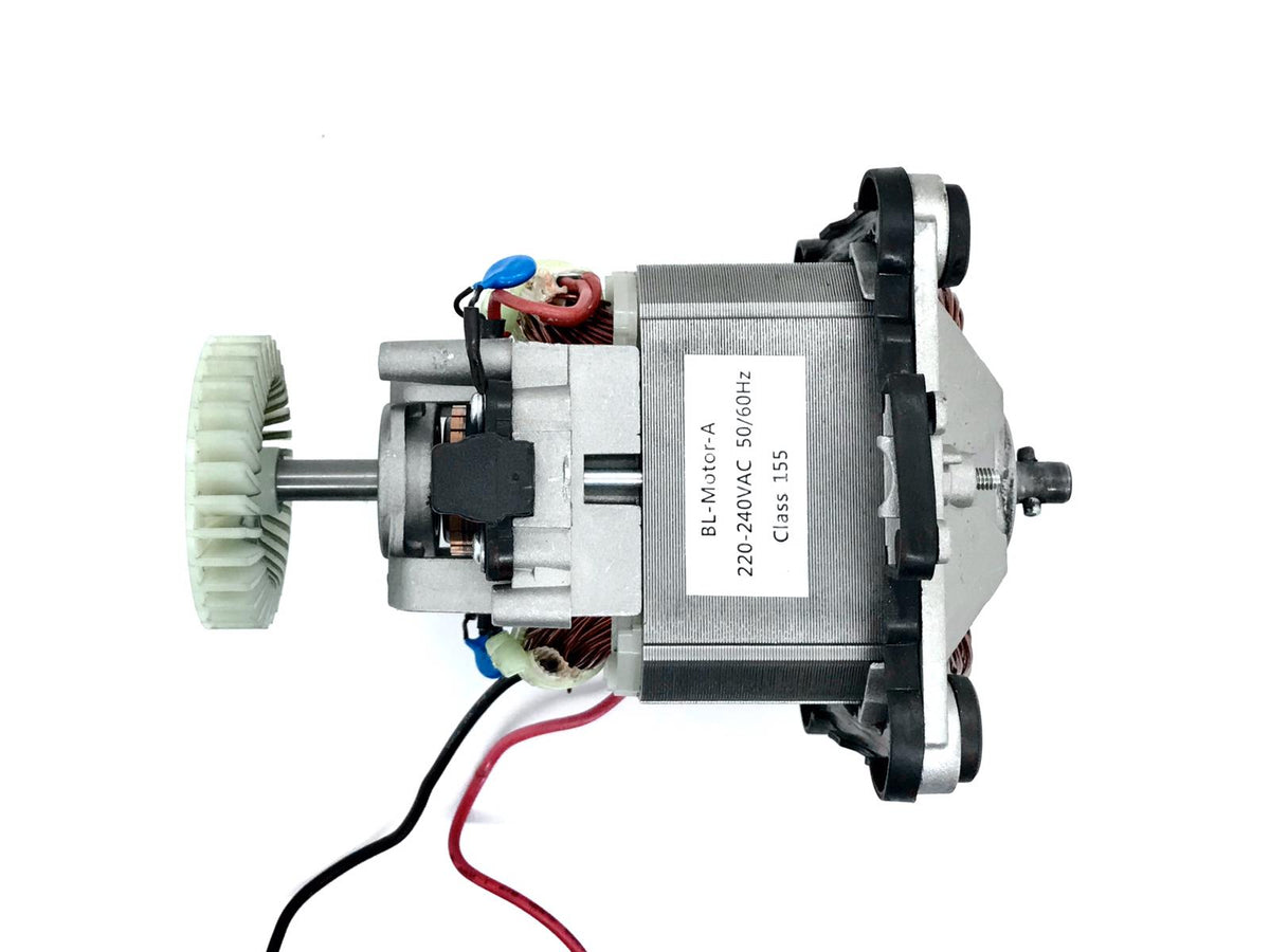 Main Motor Maybaum PBL1 G Blender